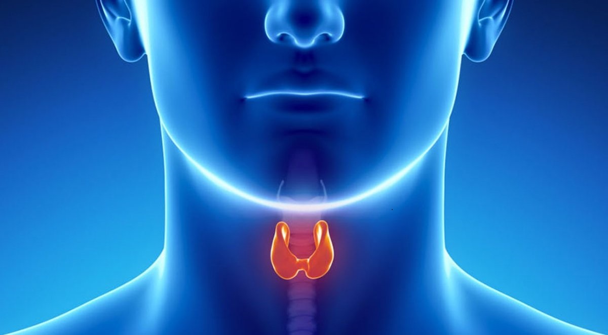 Thuốc thường dùng cho tuyến giáp Levothyroxine liên quan đến mất khối lượng xương